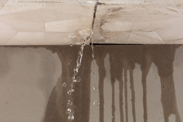 Professional Sewage Cleanup technician working in Fremont, IN